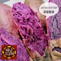 (백프로 품질보증제) 해남 자색 고구마, 특상, 5kg
