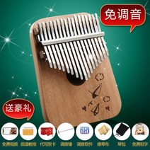칼림바 마이크로스타 악기핸드 거문고 17음 초보자 악기 엄지손가락 피아노 다섯손가락 현악기, T10-17음 종이비행기 풀세트 증
