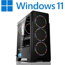 [왕가PC]WGCP 윈도우11 탑재 데스크탑 3D게임용 배그 풀옵션 게이밍 조립컴퓨터 롤 오버워치2 로스트아크 국민옵션부터 풀옵션 조립PC, 04. HDD 1TB 추가, 게이밍 12