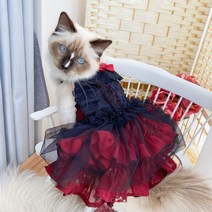 고양이 레드 블랙 드레스 웨딩 화동 원피스