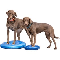 American FitPAWS Balance Disc 개 반려견 강아지 펫 밸런스 디스크 밸런스볼 짐볼 균형 피트니스 재활훈련 운동, 1 블루, 14 39 39 (직경 35.5cm)