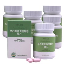 락토페린 라토페린 초유 단백질 유산균 여자 남자, <a.0> 런칭이벤트 4박스+1박스 (5개월분)” class=”wr-img”></a></div>
</p></div>
</p></div>
</p></div>
<div class=
