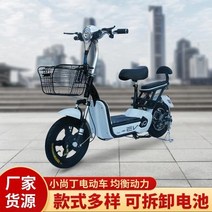 접이식 전동자전거 전기자전거 배달 렌탈 키트 폴딩 전기 소형 두 바퀴 48v 납산 배터리 성인 가정용 분리형 자전거, black+48v12a