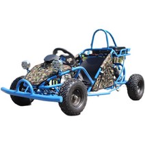 버기카 사발이 오토바이 레저용 4륜 150cc 제주도, 2인승 전기