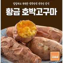 (2KG) 산지직송 호박고구마 고씨네 해남 밤고구마 국산 다이어트 겨울간식, 특급 호박고구마 2kg, 2kg