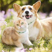 강아지 고양이 진드기 모기 벼룩 예방 스마트 해충 방지 목걸이, L