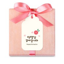 [인디케이] 심플카네이션 선생님 감사합니다 구름 [텍] 10개