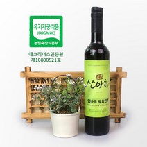 엄나무 효소 발효액 유기농 이의영 산야초 효소 500ml