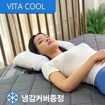 비타 쿨베개 (유아 성인 시원한 베개) 여름베개 냉감베개 3가지 사이즈, 스몰(그레이)