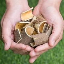 봉래 국산 소태나무껍질 200g/국내산/소태껍질/건강차/소태차 식품 > 건강식품 전통건강식품 기타전통건강식품/한방재료, 200g, 1, 200g” class=”wr-img”></a></div></p></div></p></div></p></div><div class=