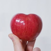 껍질채먹는 다이어트 안동 부사 세척사과2.5kg