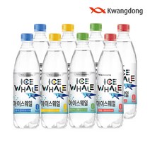 광동 아이스웨일 탄산수 500ml 20입+20입 향 4종 택1, 아이스웨일 500ml 40입-플레인