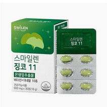 식약처 인증 기억력 혈행 개선 영양제 징코 11 은행잎 추출물 징코빌로바 뇌 두뇌 건강 영양제, 1개, 30정