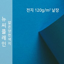 뉴씨플레인 종이문화 얇은 양면색지 120g 전지 낱장 1매 No.64 파랑, 1장
