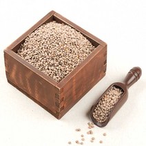 렌틸콩 3kg 슈퍼푸드 랜틸콩 렌즈콩 브라운렌틸콩 갈색렌틸콩 렌탈콩
