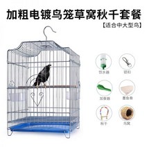 앵무새 놀이터 새장 새장대전호피현봉모란앵무 팔고대조 가정용 번식전용 킹사이즈 특대형, 굵게 도금한 새장 초가집 그네