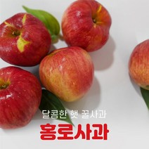 홍로사과 햇 꿀사과 2kg 4kg 10kg, 중대과 4.5kg이상 (17~18과)