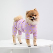 유앤펫 강아지옷 롤리팝 땡땡이 올인원 중형견 대형견 옷, 퍼플