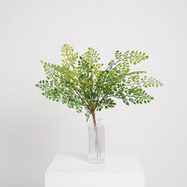 플라우스302 (4+1)플랜트월 카페 매장 포토존 장식 플라워월 수직정원 식물벽 잔디판, d.추가장식_보스톤고사리부쉬