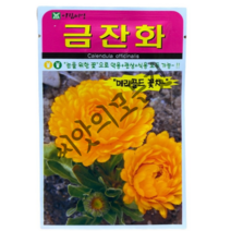 금잔화 씨앗 70립 눈을 위한 꽃씨 약용+관상+식용 모두가능 메리골드 꽃차
