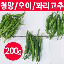 국산 청양고추 오이 풋고추 꽈리고추 200g 500g, 청양고추 200g (18-28개)