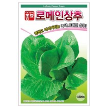 시저스그린 1500립 로메인 상추 씨 씨앗 종자 베란다 텃밭 상추키우기 기르기