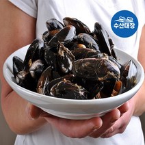 국내산 남해안 반자숙 피홍합 1kg 다듬이홍합 담치 세척홍합, 국내산 반자숙 피홍합 1kg
