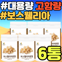 대용량 고함량 보스웰리아 보스웰릭산 가루 분말 명절 여자 중년 노인 실버 선물 중년 남성 여성 남자 추천 설날 추석