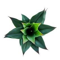 다육이화분 2 개몫 큰 인공 식물 플라스틱 알로에 Agave 나무 터치 리프 공기 홈 데스크 벽 정원 장식, [02] B