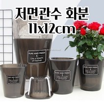 저면관수화분 반투명 11X12CM 플라스틱 물흡수 자동급수 화분 특이한화분 귀여운화분 저면관수