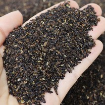 도라지씨앗 도라지종자 도라지씨 재배, 1kg(500gX2)