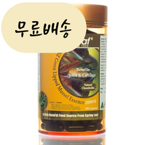 홍박스 스프링리프 초록입홍합 2000mg 200정 SPRING LEAF GREEN LIPPED MUSSEL 2000MG 200C 구매대행, 1개