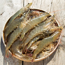 언니상점 국내산 유기농 흰다리새우 무항생제 인증 왕새우, 1kg, 급냉 흰다리새우 25미