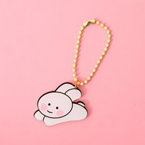 포카바인더 콜렉트북 포카앨범 Sharkkang 마카롱 3 링 바인더 노트 세트 10pcs 슬리브 미니 루스 리프 저널 총알 일기 카드 홀더, [12] 1pcs run rabbit