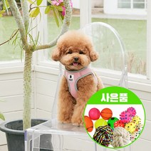 베니즈 베이직 강아지 하네스   리드줄 1.5m   증정 장난감 1개, S, 핑크