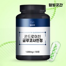 웰빙곳간 관절영양제 콘드로이친 글루코사민 대용량 1000mgX120정 240정 4개월분 8개월분, 2개(240정)
