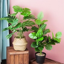 [에타홈] 조화 네츄럴 스톤 나무 중형 화분, 07_바나나 나무 소형