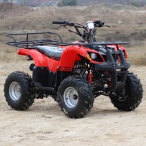 A형 125cc ATV 농업용 효도상품 사륜오토바이 사발이 JH, 하얀색