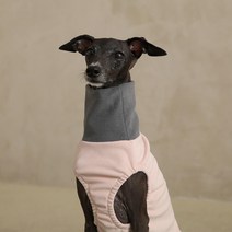 아이쥐옷 이탈리안 그레이하운드 옷 티셔츠 XS-L, 레드, 이탈리안그레이하운드
