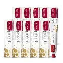 레드씰 프로폴리스 치약 100g x10개 코스트코 뉴질랜드 저자극 기능성 치약 readseal 레드실, 10개