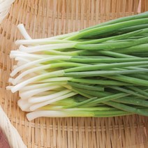 깐쪽파 쪽파 깐실파 실파 1단 1kg내외, 단품