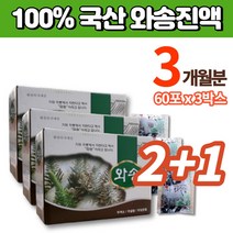 국내산 와송 진액 액기스 엑기스 차 효소 와송즙 와송이즙 와송차 생와송 신탑 탑송 바위솔, 3박스