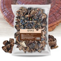 국내산 영지버섯 절단 500g 원물 영지버섯차