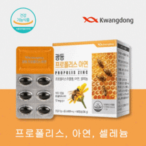 광동 프로폴리스 목 혓바늘 면역력 에 좋은 높이는 음식 영양제 약 2달 항산화 잇몸 염증, 1박스