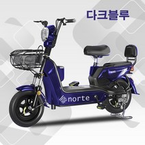 전기 자전거 전동 스쿠터 팻바이크 성인용 출퇴근 미니벨로 팻바이크, 95km, 다크블루