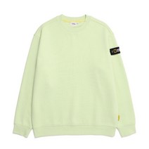 [국내매장정품] 내셔널지오그래픽 스탠다드 벨룩스 세미 오버핏 맨투맨 기모안감 FOAM GREEN N224USW901