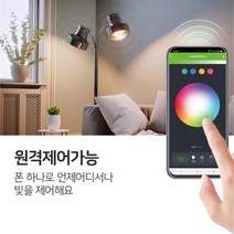나이트버드 스마트 RGB 전구 (NiteBird) Wi-Fi Smart Bulb