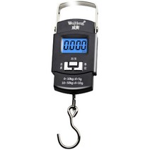 고리형 저울 무게 달기 후크 캐리어 크레인 수화물, A08L 중국어판 그린라이트 50kg