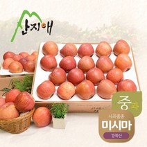 기타 [2022햇사과] 산지애 알뜰 못난이사과(중과) 4.5kg 2box / 당도선별 미시마