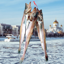 코다리 찜 800g 3미 명태 냉동 어류 간편 조리, 코다리800g 3미, 1개